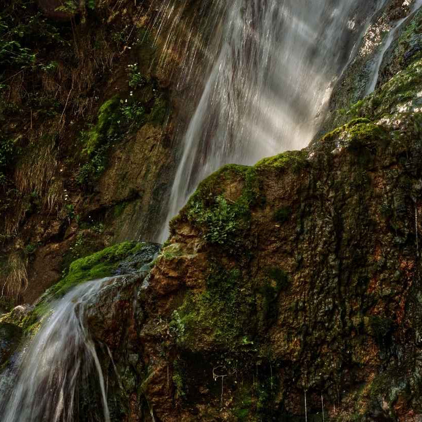 Waterfall cascading down a moss-covered rock face in a forest setting
